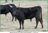 araz-plo-11-03-2023-n-53