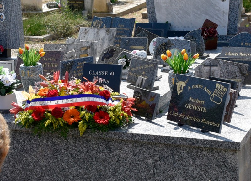 Plaque-1