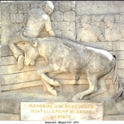 beaucaire-mugeut-dor-003
