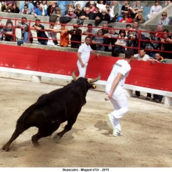 beaucaire-mugeut-dor-026