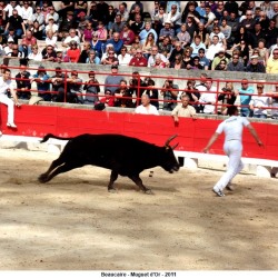beaucaire-mugeut-dor-027