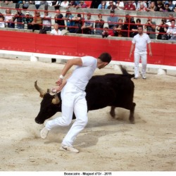 beaucaire-mugeut-dor-029