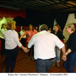 repa-mejanes-13