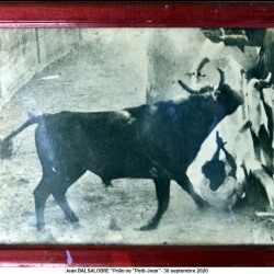 Beaucaire - Vovo / Balsalobre