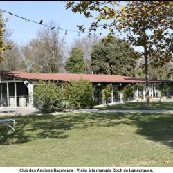 sll1148