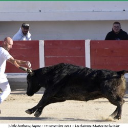 jubile-ayme-saintes-19-11-2022-154