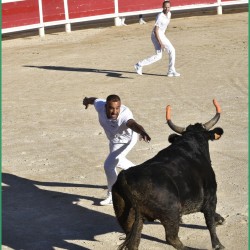 jubile-ayme-saintes-19-11-2022-158