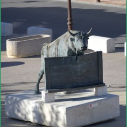 jubile-ayme-saintes-19-11-2022-41