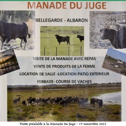 manade-du-juge-dejeuner-19-11-2022-22
