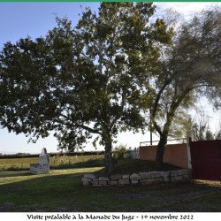 manade-du-juge-dejeuner-19-11-2022-28