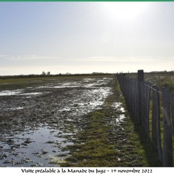 manade-du-juge-dejeuner-19-11-2022-44