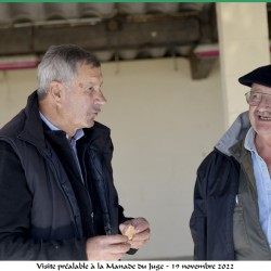 manade-du-juge-dejeuner-19-11-2022-101