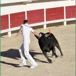 jubile-ayme-saintes-19-11-2022-160