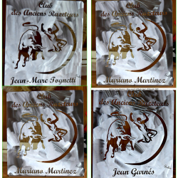 Plaques