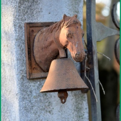 Repas-ARAZ-Briaux-26-11-2023-17-B