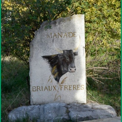 Repas-ARAZ-Briaux-26-11-2023-61-B