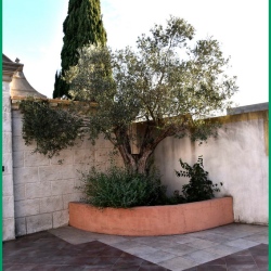 Repas-ARAZ-Briaux-26-11-2023-27-B