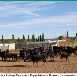 Repas-ARAZ-Briaux-26-11-2023-63-B