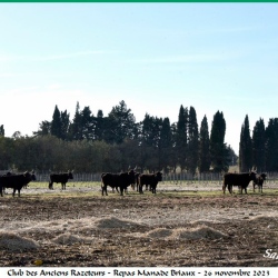 Repas-ARAZ-Briaux-26-11-2023-64-B