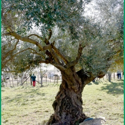 Repas-ARAZ-Briaux-26-11-2023-140-N