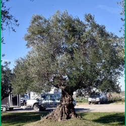 Repas-ARAZ-Briaux-26-11-2023-143-B