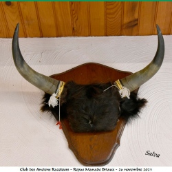 Repas-ARAZ-Briaux-26-11-2023-162-N