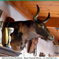 Repas-ARAZ-Briaux-26-11-2023-164-N