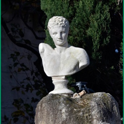 Repas-ARAZ-Briaux-26-11-2023-85-B