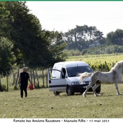 ferrade-araz-13-mai-2023-n-4