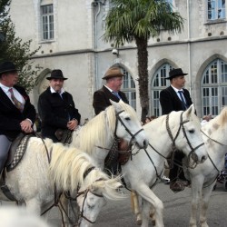 Lourdes-2023-Jeannot-253