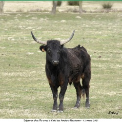 araz-plo-11-03-2023-n-37