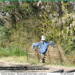 Remise-de-la-gerbe-a-Andre-Soler-le-06-04-2024-18