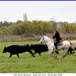 Repas-Conti-24-11-2024-90-N