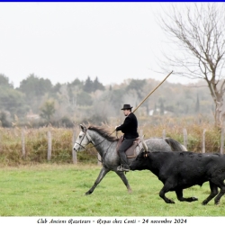 Repas-Conti-24-11-2024-91-N