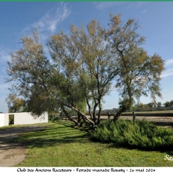 ARAZ-Ferrade-Rousty-26-05-2024-17