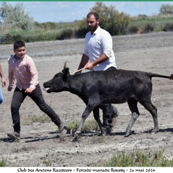 ARAZ-Ferrade-Rousty-26-05-2024-135