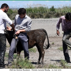 ARAZ-Ferrade-Rousty-26-05-2024-144