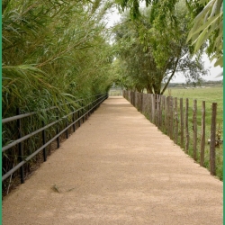 Conti-visite-19-06-2024-24