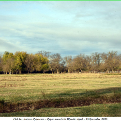 ARAZ-Repas-Agnel-23-11-2025-33-B