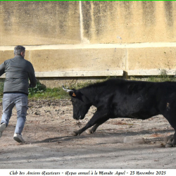 ARAZ-Repas-Agnel-23-11-2025-86-N