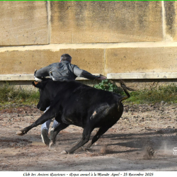 ARAZ-Repas-Agnel-23-11-2025-87-B