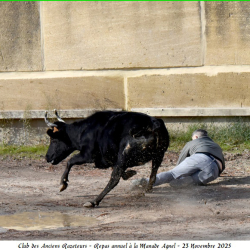 ARAZ-Repas-Agnel-23-11-2025-88-B