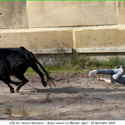 ARAZ-Repas-Agnel-23-11-2025-89-B