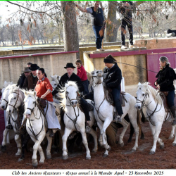 ARAZ-Repas-Agnel-23-11-2025-100-B
