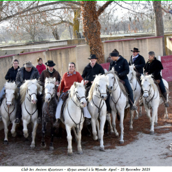 ARAZ-Repas-Agnel-23-11-2025-101-B