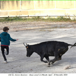 ARAZ-Repas-Agnel-23-11-2025-93-N