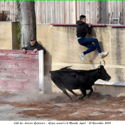 ARAZ-Repas-Agnel-23-11-2025-95-B