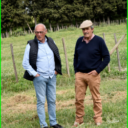 ARAZ-Ferrade-Mogador-10-5-2025-66-B