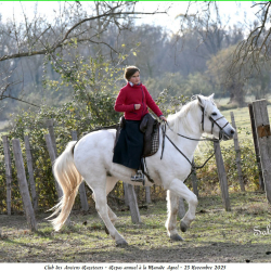 ARAZ-Repas-Agnel-23-11-2025-60-B