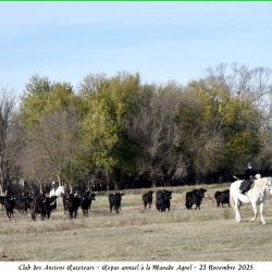 ARAZ-Repas-Agnel-23-11-2025-64-N